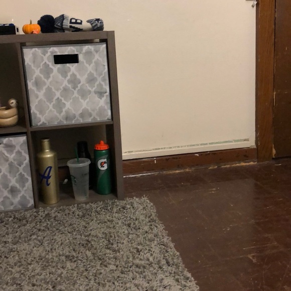 Meet your Posher, Bella - Picture 1 of 1